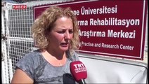 Geyik yavrusuna katarakt ameliyatı yapıldı