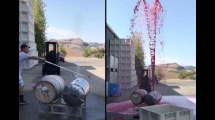 Ils ouvrent un fût de pinot noir sous pression et provoquent un geyser de vin