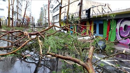 Trump declara Porto Rico zona de 'grande desastre'