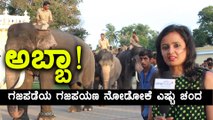 Mysore Dasara 2017 : Elephants are all set for Elephant March ( Gajapayana ) on Vijayadashami