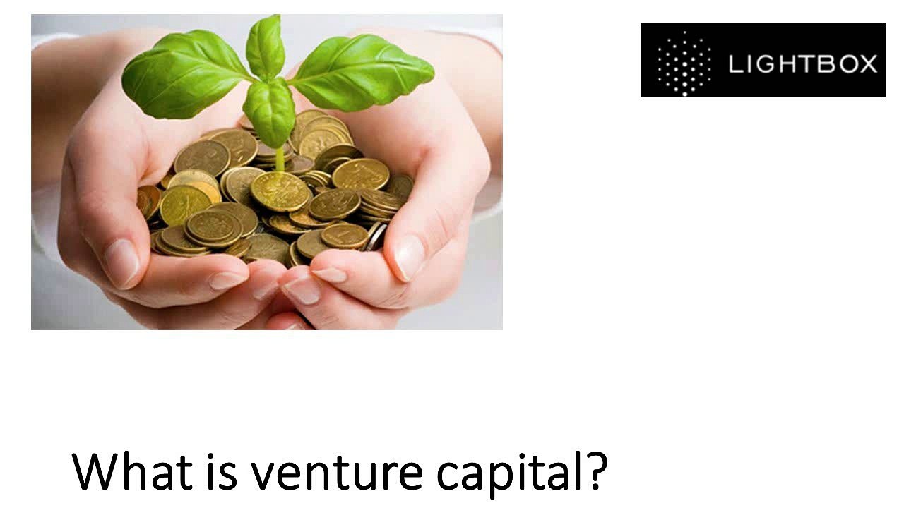 What is venture capital