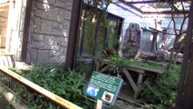 Yumemigasaki Zoo Part 1 (Kawasaki City)
