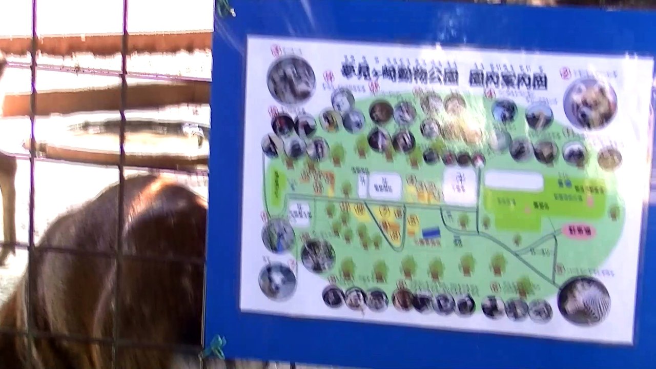 Yumemigasaki Zoo Part 4 (Kawasaki City)