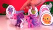 Find the Hatchimals CollEGGtibles Surprise Eggs in Hatchtopia | Spinning Wheel Kids Game