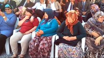 Bafra Ovası 2. Çeltik Hasat Şenliği