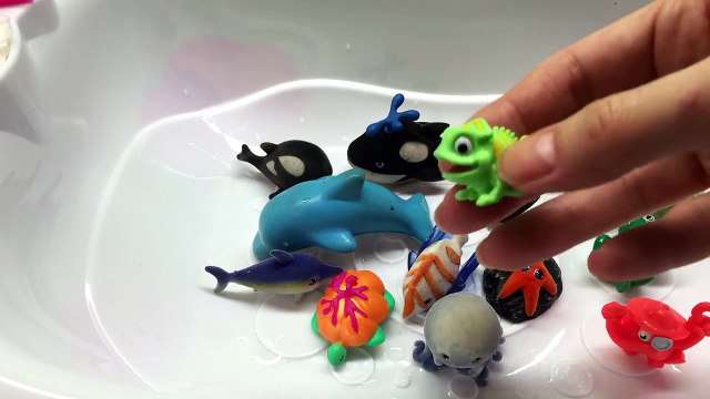 GORGEOUS SEA ANIMALS SURPRISE TOYS 3D PUZZLES - Hammerhead Shark Whale Manta Ray Beluga Turtle