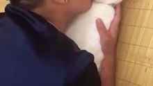 親親Kiss