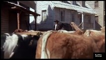 POR LA SENDA MAS DIFÍCIL 'WESTERN' Película Completa en Español   Lee Van Cleef 1975 (2)