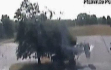 Un árbol evitó una tragedia aérea