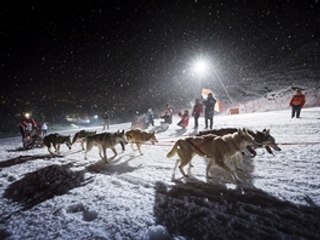Secteur 1 - La Grande Odyssée SMB à Pralognan © Office de Tourisme de Pralognan