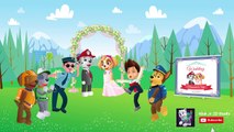 Wedding of Marshall & Skye   PAW Patrol - Episode 3   Cartoon for Kids