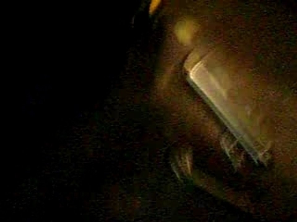 Bandit 650 sans pot!