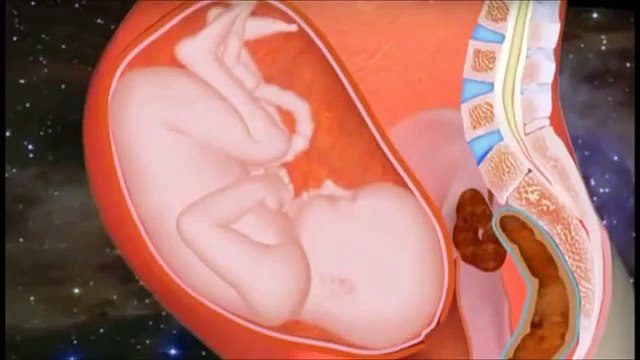 Роды видео. Предвестники