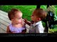 Baby Blind Date Subtitles Translation Animal Funny Video 2013-Dz74nBjYaug