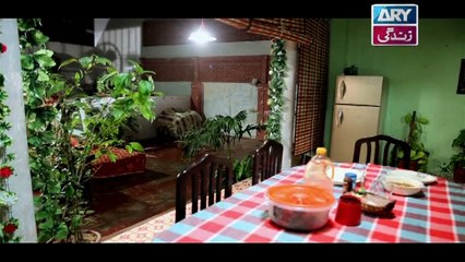 Zindaan Episode 23 In High Quality on Ary Zindagi 21st September 2017