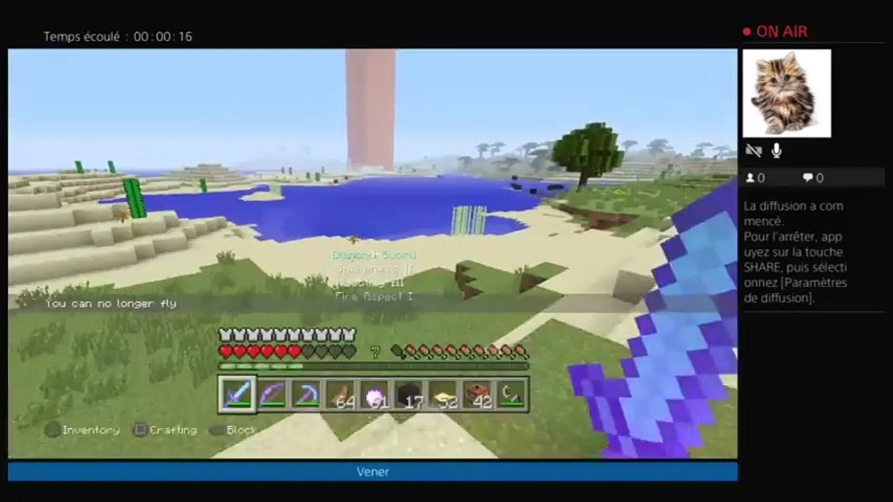 Diffusion PS4 en direct mini jeux (51)