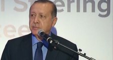 Erdoğan'dan ABD'de Pankart Açan Teröristlere Anında Cevap: 3-5 Kendini Bilmez Salon Teröristi