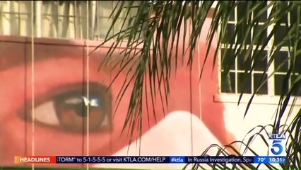 Artist Aspires to Paint Largest Mural in the World on Apartment in Downtown Los Angeles