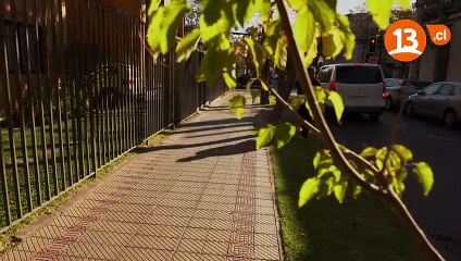 irreversible Capítulo 15  La cárcel es mi casa