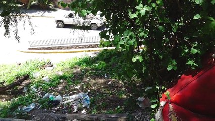 Desvia la mirada Marco sindico en el tema de la proliferación de ratas que se vive en las tolvas de gto.