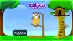 Learn Types of Birds | Animated Video For Kids | Telugu Animation Video For Children