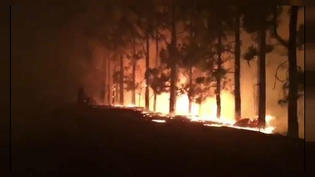 حريق مهول بجزيرة غران كناريا بجزر الكناري الاسبانية