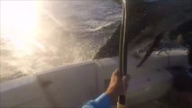 Ce pecheur a vu la mort de près, presque embroché par un marlin