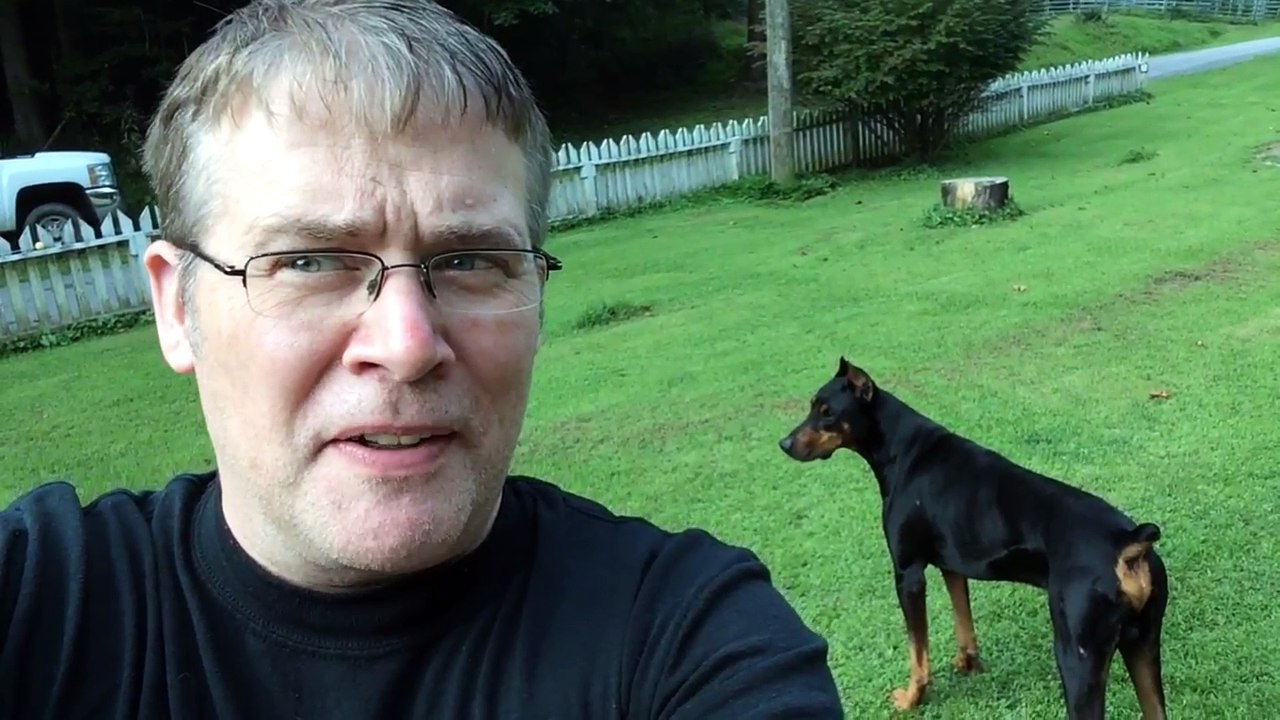 Doberman Pinscher Breeding Kruz and Luna make Puppies