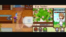Harvest Moon Tale of Two Towns: Cams Proposal and Wedding