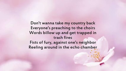 Enter Shikari - Take My Country Back (Lyrics)