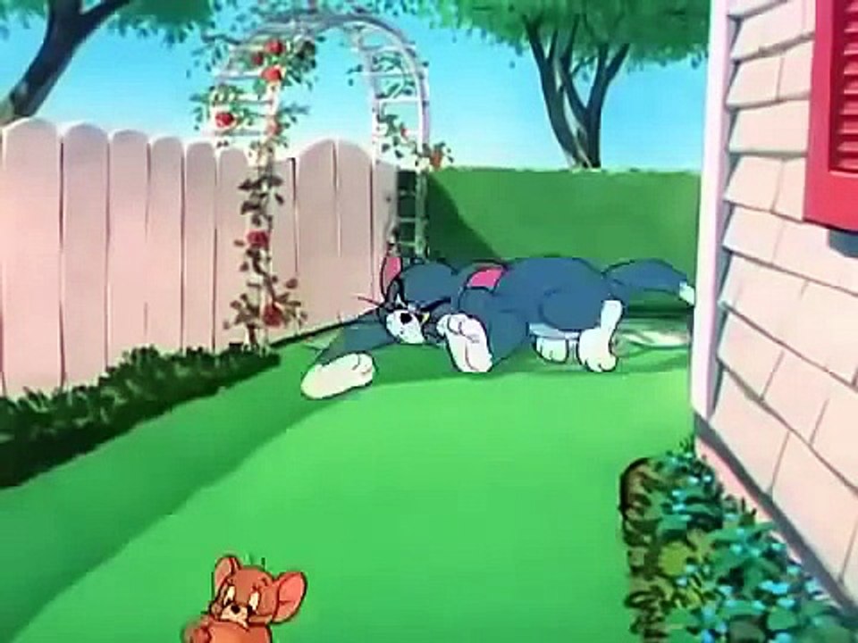توم جيري