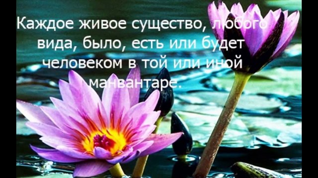 Е.П.Блаватская автор ТАЙНОЙ ДОКТРИНЫ