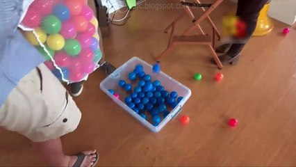 T2x01 - Planeta Innovacion - Lobos de  Yellowstone - Español Latino