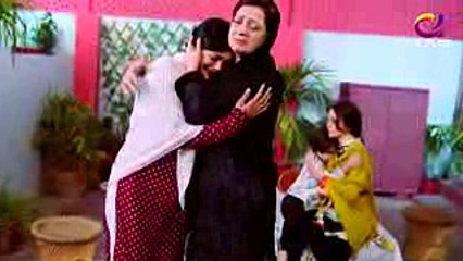 Ghareebzaadi - Episode 37 Promo - A Plus ᴴᴰ Drama - Suzzaine Fatima, Shakeel Ahmed, Ghazala Kaife