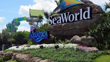 Dream Disney World Orlando Vacation Homes - Sweet Home Vacation