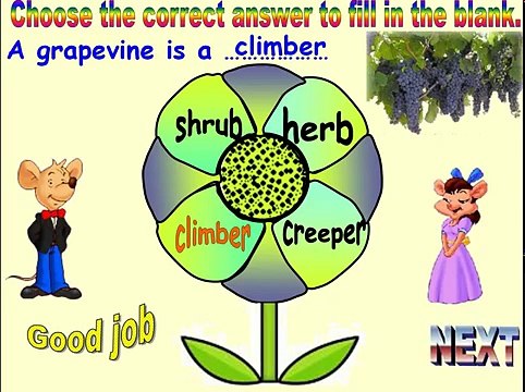 SCIENCE FOR CLASS 1 PLANTS AROUND US