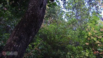 مسلسل ضيعة ضايعة - الجزء الأول ـ الحلقة 21 الحادية والعشرون كاملة HD - الفرارية