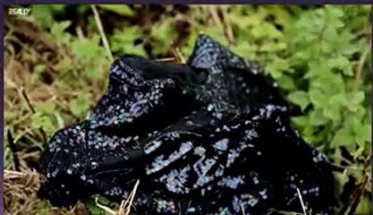 Born to Kill Class of Evil - 01x06 - Joanna Dennehy