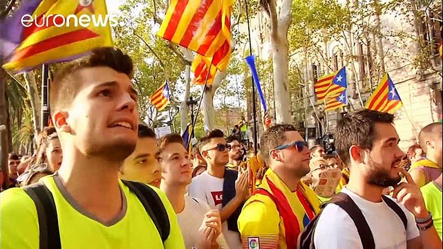 Каталония: референдум, несмотря ни на что