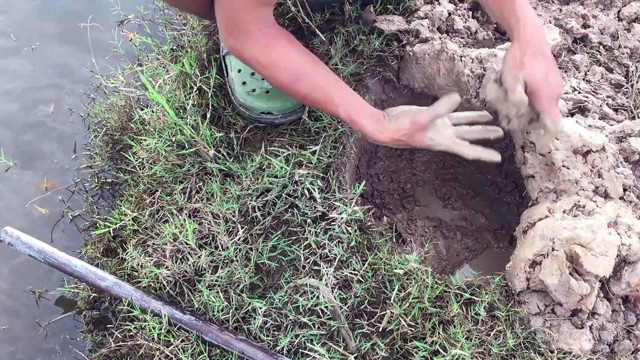 Super Hole Trap Can catch alot of Fish and Eel - Small hole Can Save alot of Fish and Eels