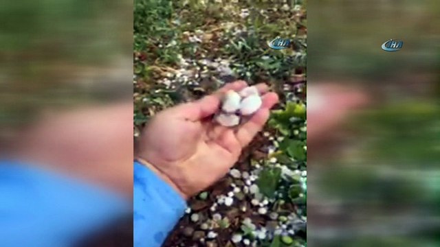 Dolu yağışı zeytin ve üzümü vurdu.