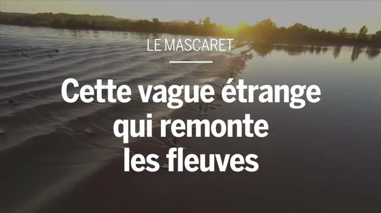 Mascaret : d’où vient cette vague étrange qui remonte les fleuves ?