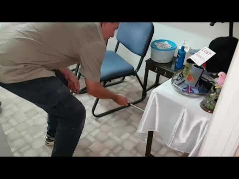 Highly Venomous Red-Bellied Black Snake Captured in Office