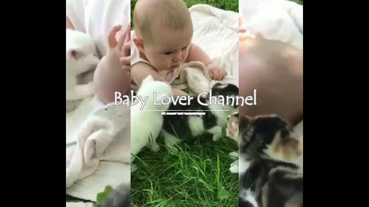 Baby Play With Kitty