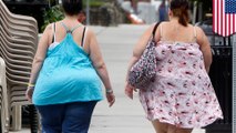Body’s white fat: ‘Bad fat’ can be transformed into healthier ‘beige’ fat - TomoNews