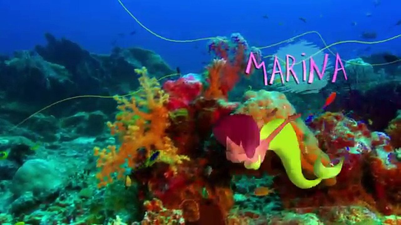 Zig & Sharko - Volcano Turbo (S01E20) _ Full Episode in HD