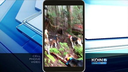 More than 100 animals illegally killed by poachers