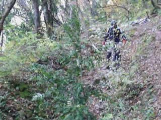 Tu veux ou tu veux pas