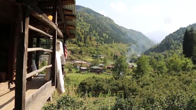 Kafkas Balı Üreticinin Yüzünü Güldürdü