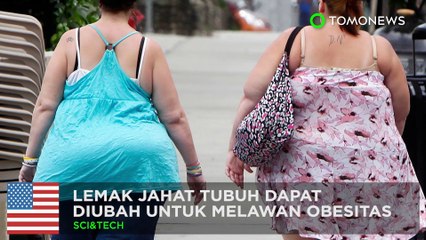 Download Video: Ternyata lemak jahat dapat melawan obesitas! - TomoNews